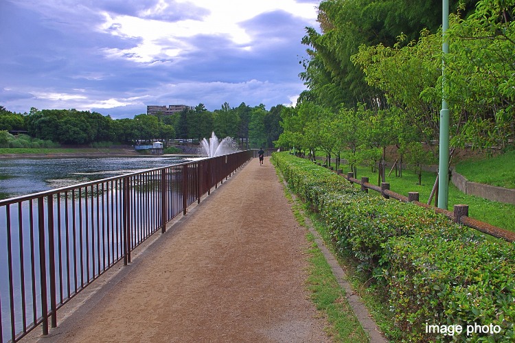 桃山公園イメージ画像